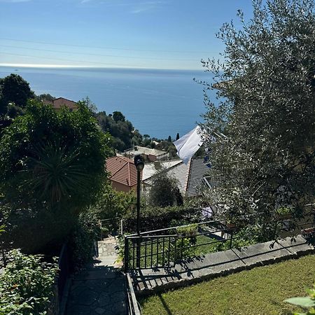 Giardino Dei Limoni Villa Pieve Ligure Buitenkant foto