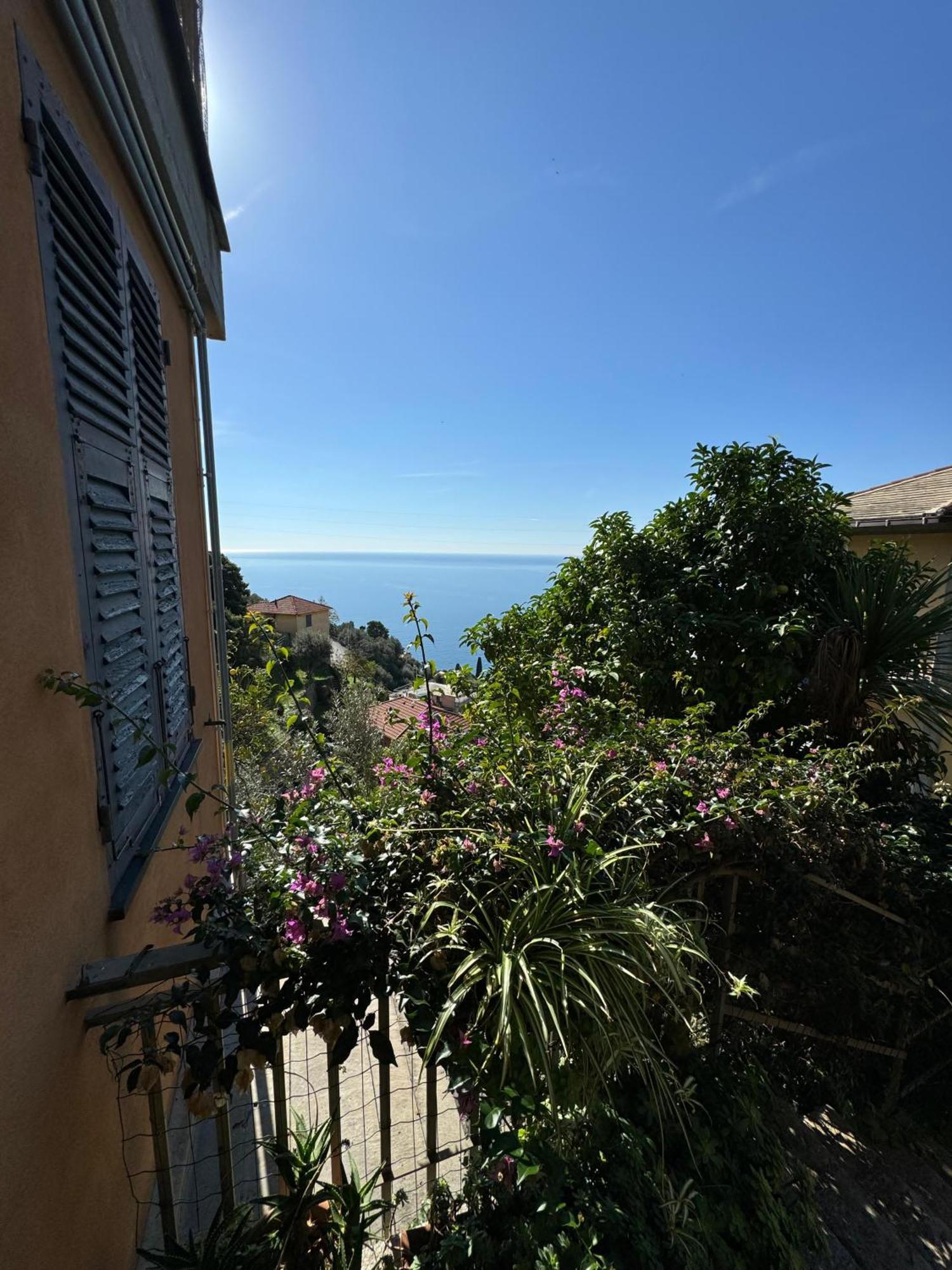 Giardino Dei Limoni Villa Pieve Ligure Buitenkant foto